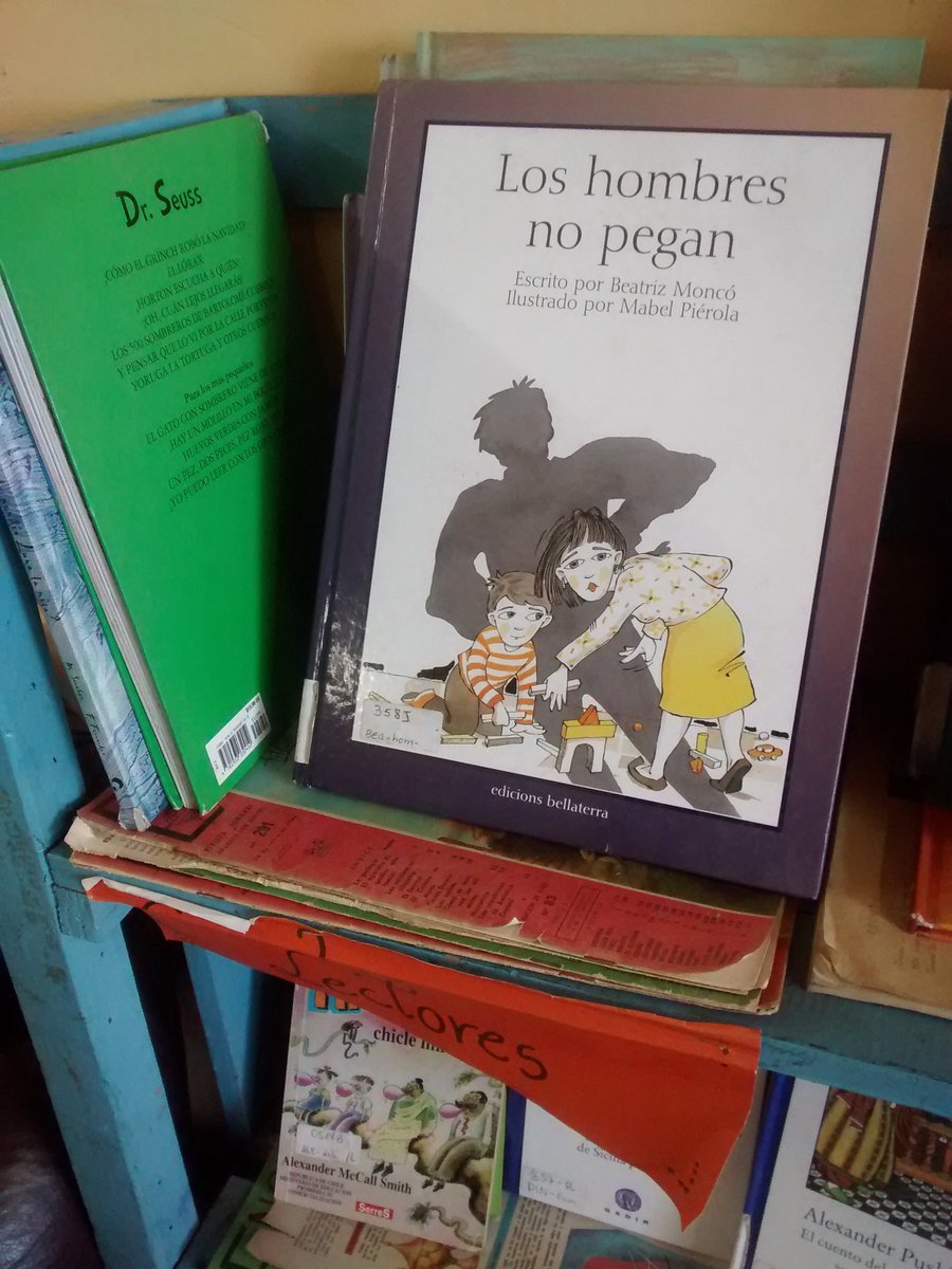 KarimBaier's tweet photo. En una escuela en #Puyehue encontré un libro interesante sobre la masculinidad"mal entendida" Beatríz Monco #España. https://t.co/ZJ6oxxR0Cz