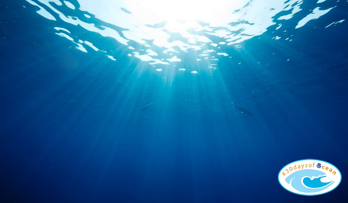 Just what makes our amazing ocean blue? Answer: 1.usa.gov/1d2chhY #30DaysofOcean #OceanFactFriday