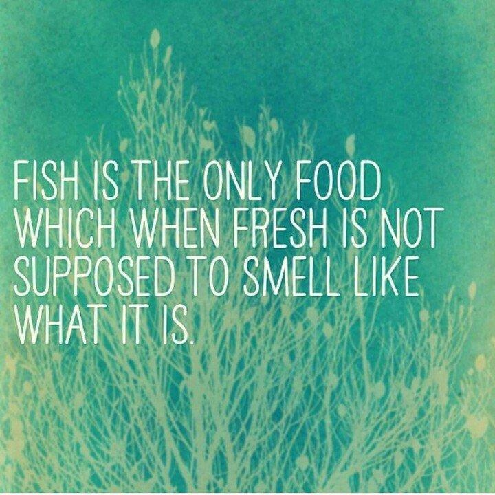 bdtrawling's tweet photo. Fish Tip: Fresh Fish should not smell fishy. At BD Trawling fresh fish is our specialty and guarantee. #bdtrawling https://t.co/hYUzDo1762