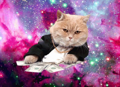 RolSupernova_'s tweet photo. Seguimos con casi todos los pjs libres.
Si no te unes o das RT para ayudarnos, este gato mafioso irá a pegarte (?) https://t.co/3mW0eIyVip