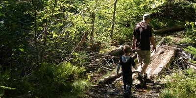 NS Trails tweet media