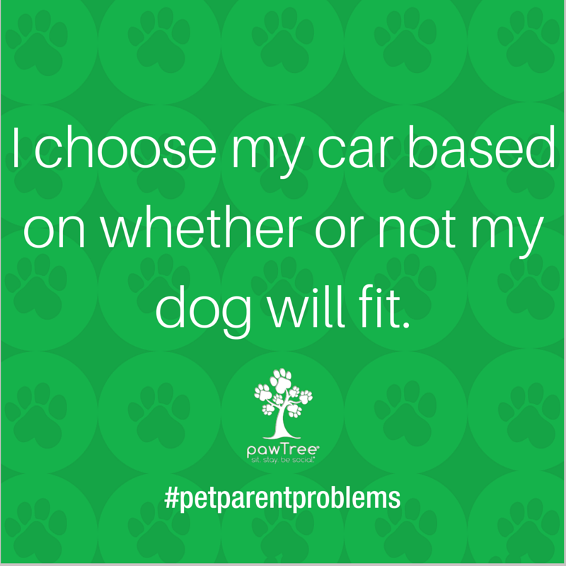 pawTree's tweet image. Who's taking their dog with them this weekend? #PetAppreciationWeek #PetParentProblems #pawTree