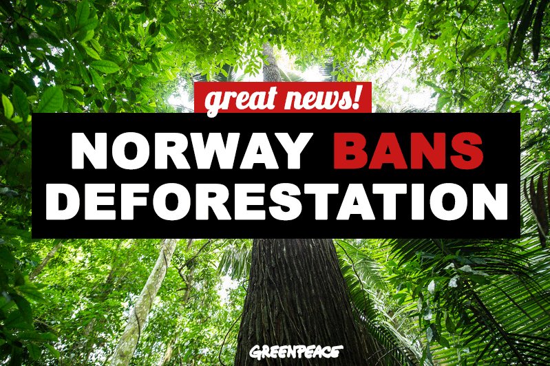 GreenpeaceUK's tweet photo. Woah! Norway's become the first country to pledge to stop using products from deforestation https://t.co/y36DLRLlb2 https://t.co/KwG9qp96g6