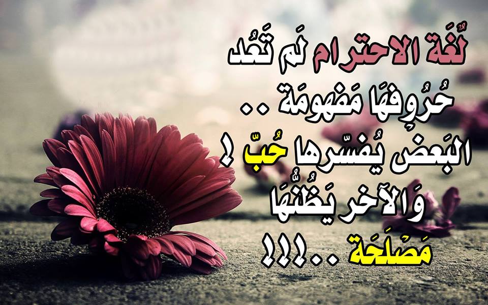 rawanalsh3's tweet photo. https://t.co/rNeyYqRRm7