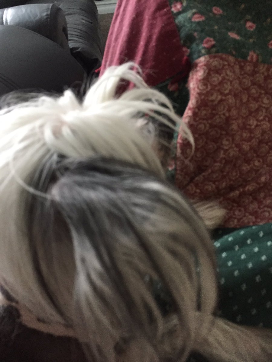 It's been five months and I finally got the dog to sit on my lap, but I really want to get up and get food,