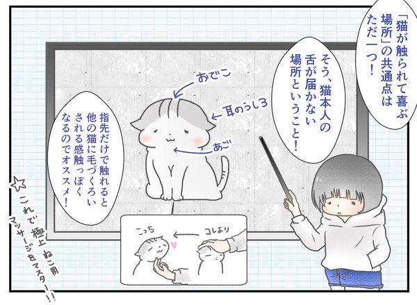 (　･ω･)<ツイッターで投下している１コマ漫画/イラスト、結構たまってきたのでまとめましたー。こちら↓からどうぞっ！！

１コマ漫画まとめ | ツンギレ猫の日常  