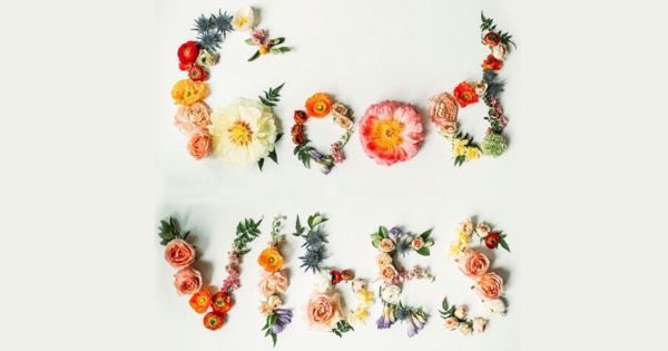 5ElementsMA's tweet image. Sending the best thoughts to our competitors out at @wku Nationals in Montreal! #CalgaryMartialArts