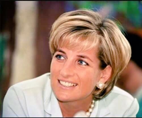 Who assassinate Princess Diana of Wales and who gave the order