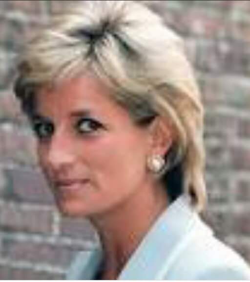 Queen of England 90th Birthday, who ordered the Assassination of Princess Diana of Wales  ?