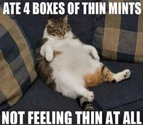FollumR's tweet photo. Gotta get me that CatBlock extension

 #gafesummit https://t.co/wchXFBv8lh