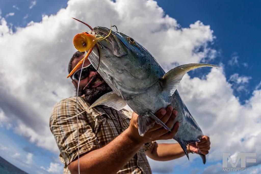 MOTIV FISHING tweet media