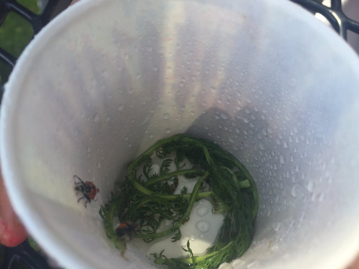 Stacy Brisben tweet media