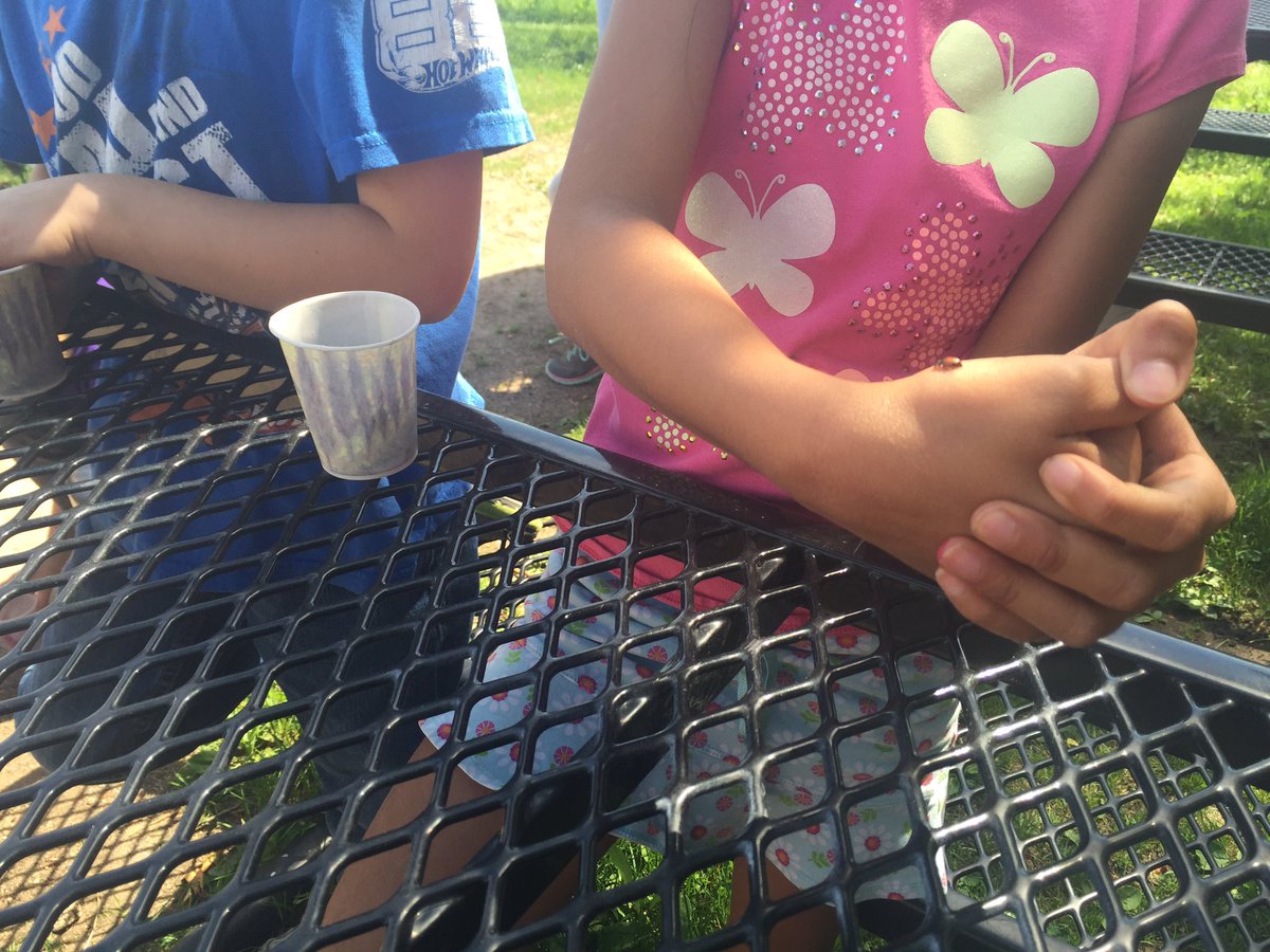 Stacy Brisben tweet media