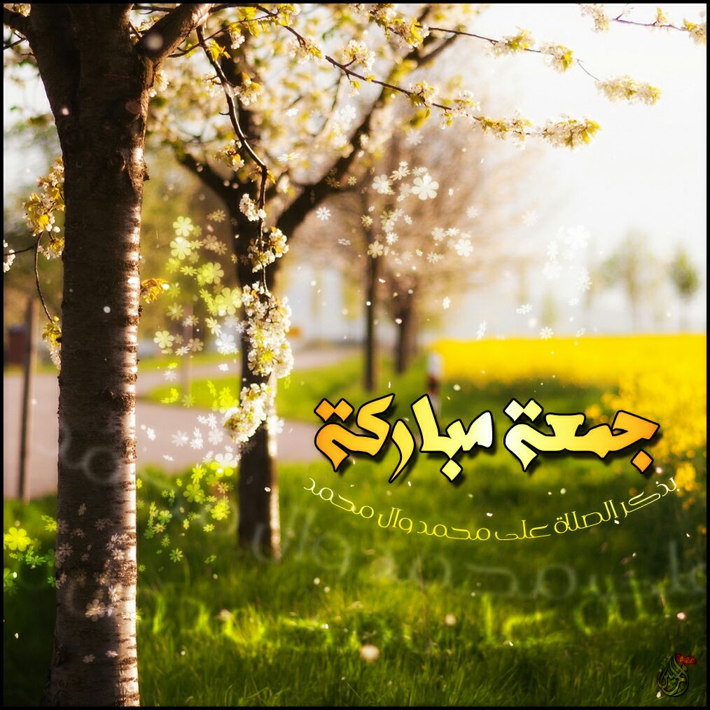 🇮🇶Hind Alkinani🕊 tweet media