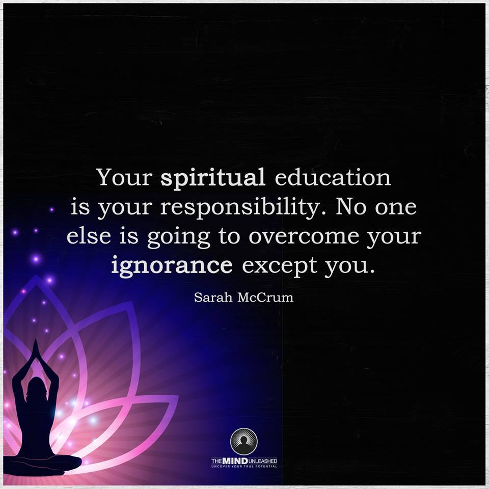 _MindFeed's tweet image. 