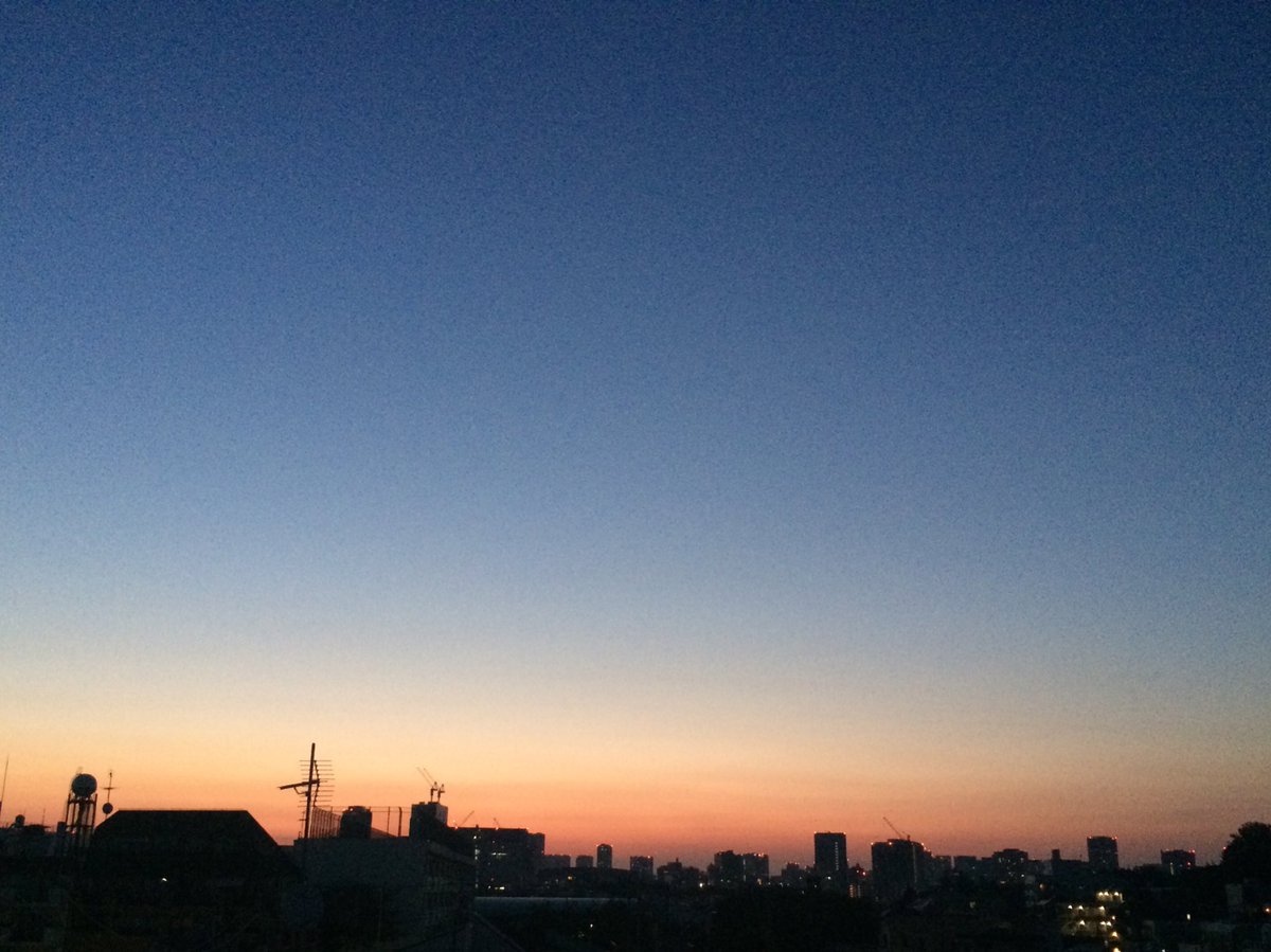 未来 9 19ワンマンライブ 朝が来ないままで息が出来たなら 遠い遠い夏の向こうへ 冷たくない君の手のひらが見えた 淡い 朝焼けの夜空 夜明けと蛍