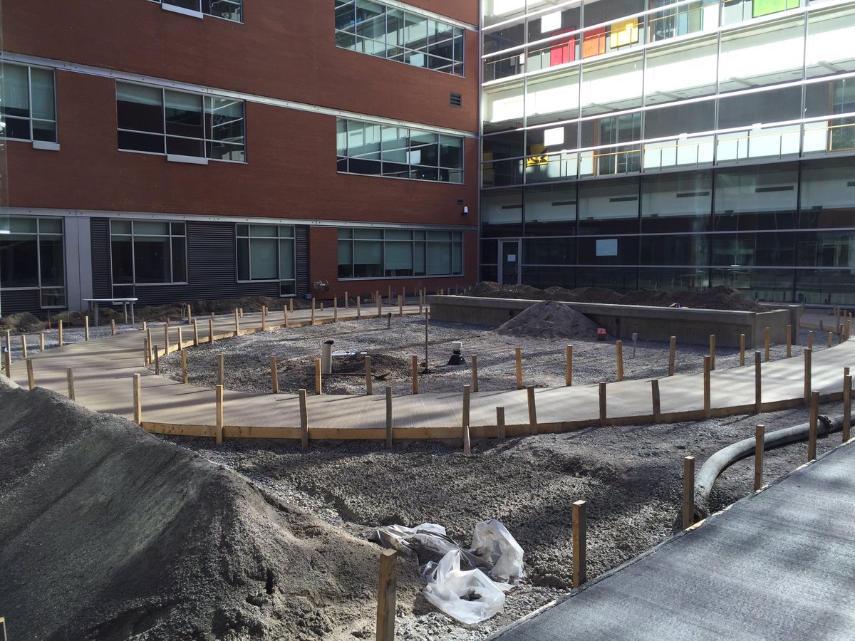 Paver_King tweet media