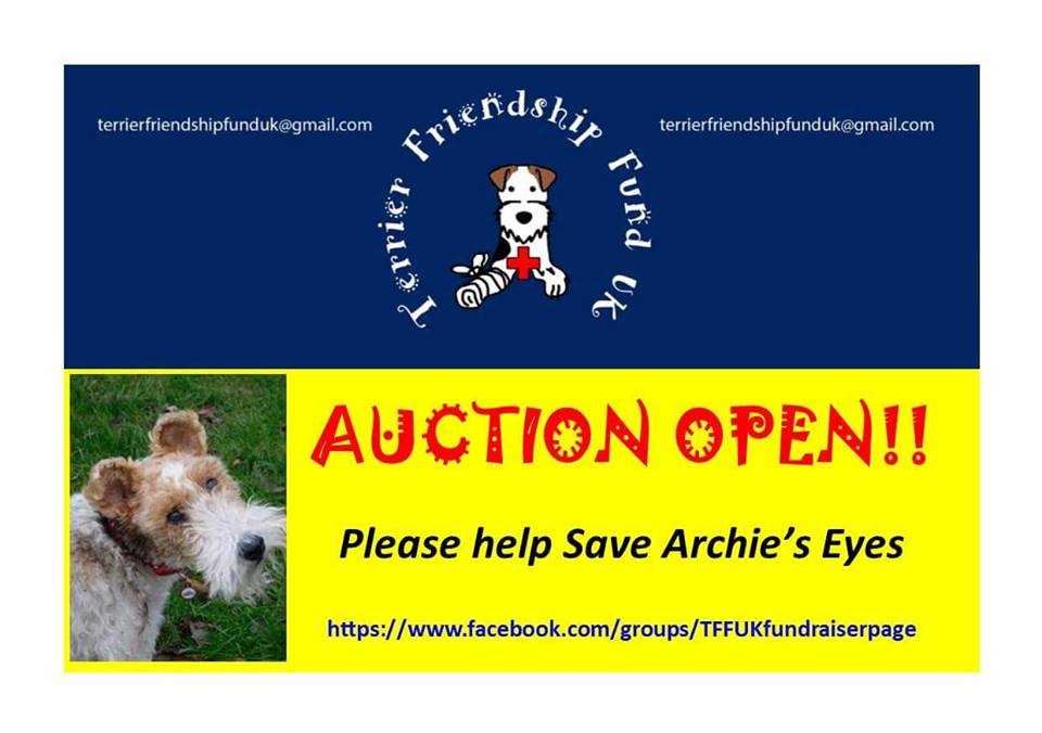 TommyTweeds's tweet photo. 170 Auction Lots!! Even holidays!! @TFF_uk @mollybear68 @KnitRebecca @Babylou73Karen @WireFoxTerriers #helparchiesee https://t.co/AmAQc0JWdF