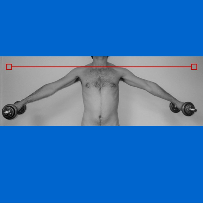 virtualphysio tweet picture
