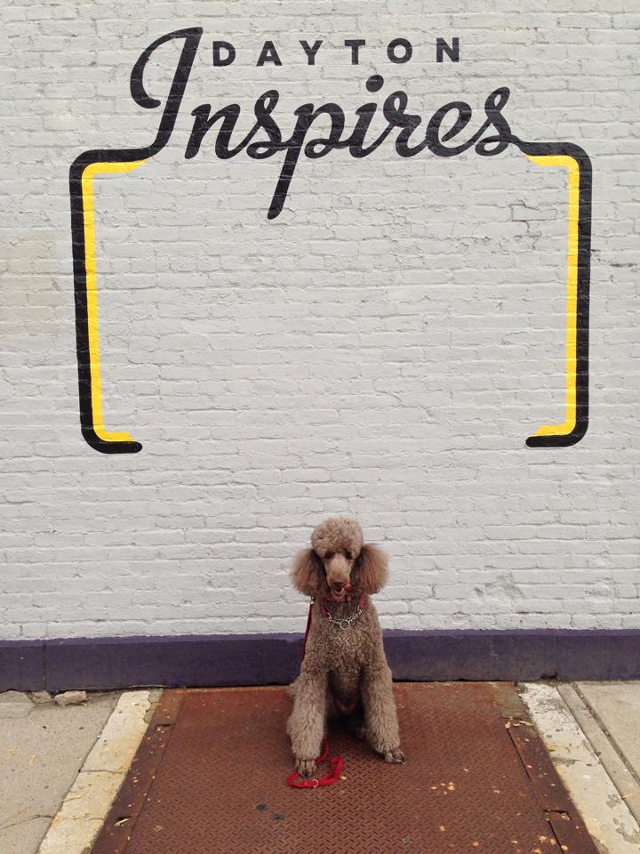 Jane Applegate🌺 tweet media