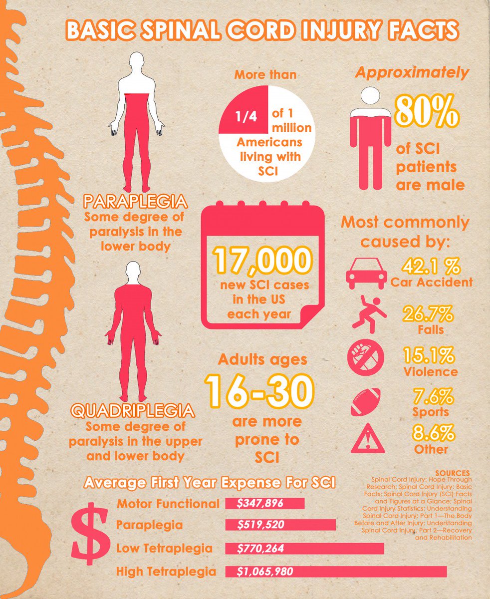 PushNationFest's tweet photo. Check out our new infographic on SCI facts --> https://t.co/wpTnIMVtC9 #pushnationfest #spinalcordinjury #facts https://t.co/gXL3NB31Go