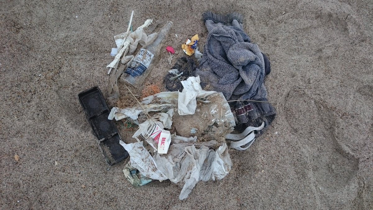 estalaverick's tweet photo. Warkworth beach 2 minute litter pick #30DaysWild #Springwatch #2minutebeachclean We had a fab time spotting wildlife https://t.co/2judy1SRIU