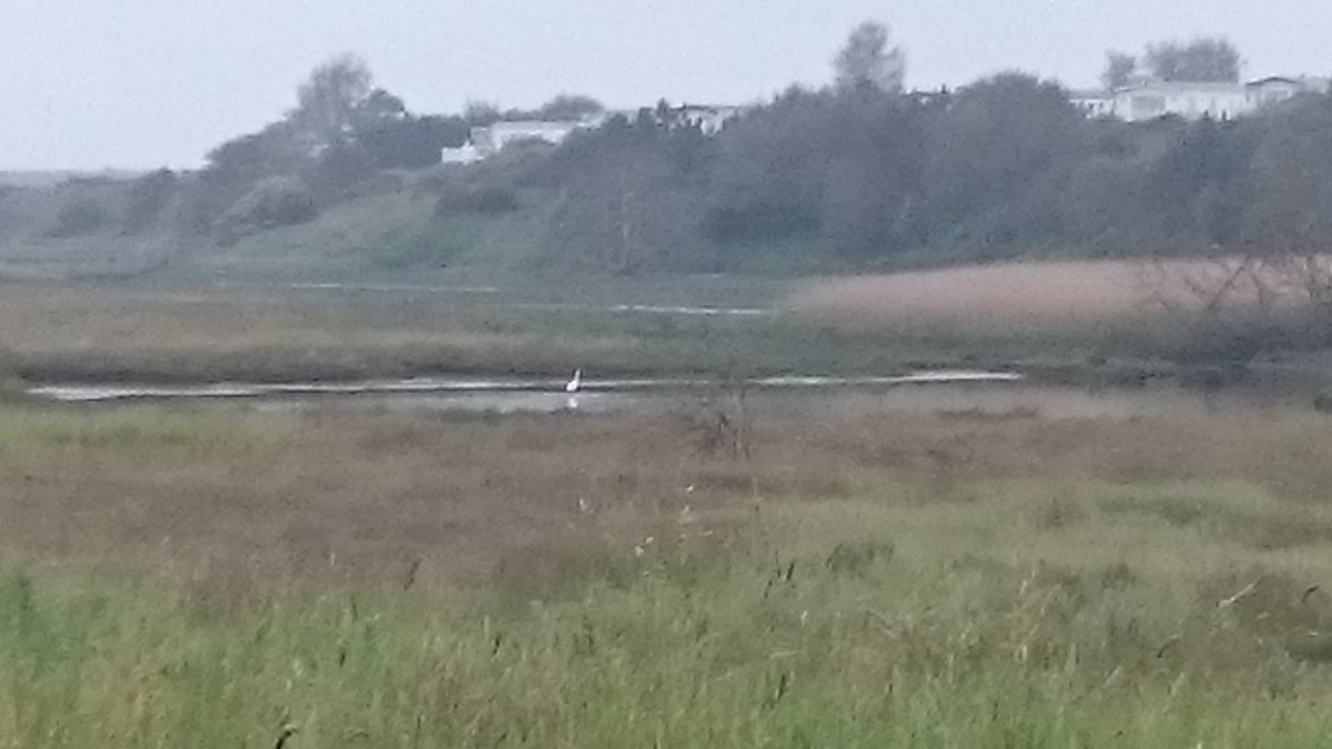 estalaverick's tweet photo. Warkworth beach 2 minute litter pick #30DaysWild #Springwatch #2minutebeachclean We had a fab time spotting wildlife https://t.co/2judy1SRIU
