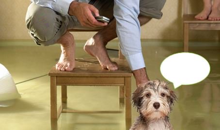 CAPTION THIS PHOTO in a comment &amp; share our tweet! For a chance to win a SERVPRO spotting kit! Drawing on 6-24-16!