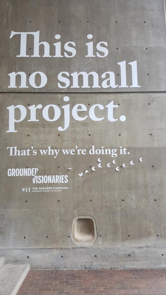 Stéphanie Cardoso tweet media