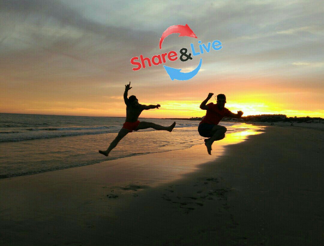 SharenLive's tweet photo. Tú también puedes disfrutar de la playa con #sharenlive encuentra el material deportivo que necesites! #alquila https://t.co/hEJ1L1Orv3