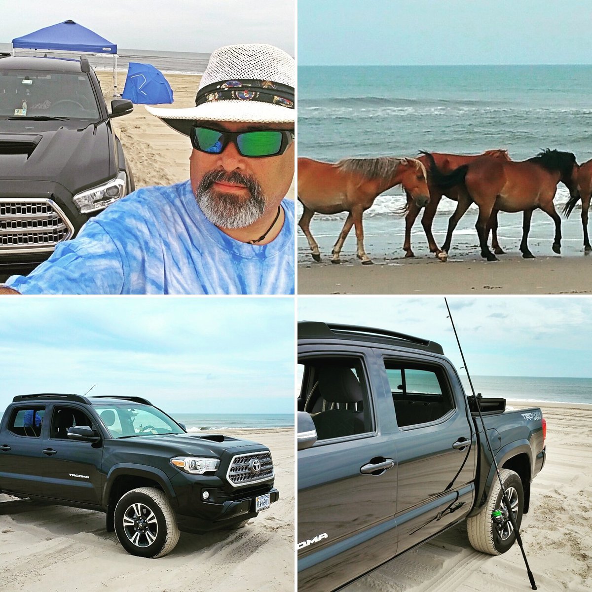 saltlyfe757's tweet photo. Life on a sandbar!!! https://t.co/vu4bSAae3w