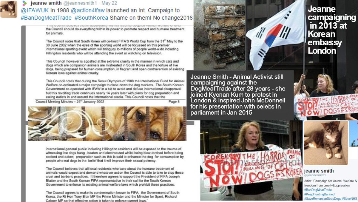 EndDogMeatTrade's tweet photo. Big RESPECT to all who have been protesting to #EndDogMeatTrade &amp; #EndCatMeattrade for 28yrs like Jeanne has https://t.co/TYPurvebwS