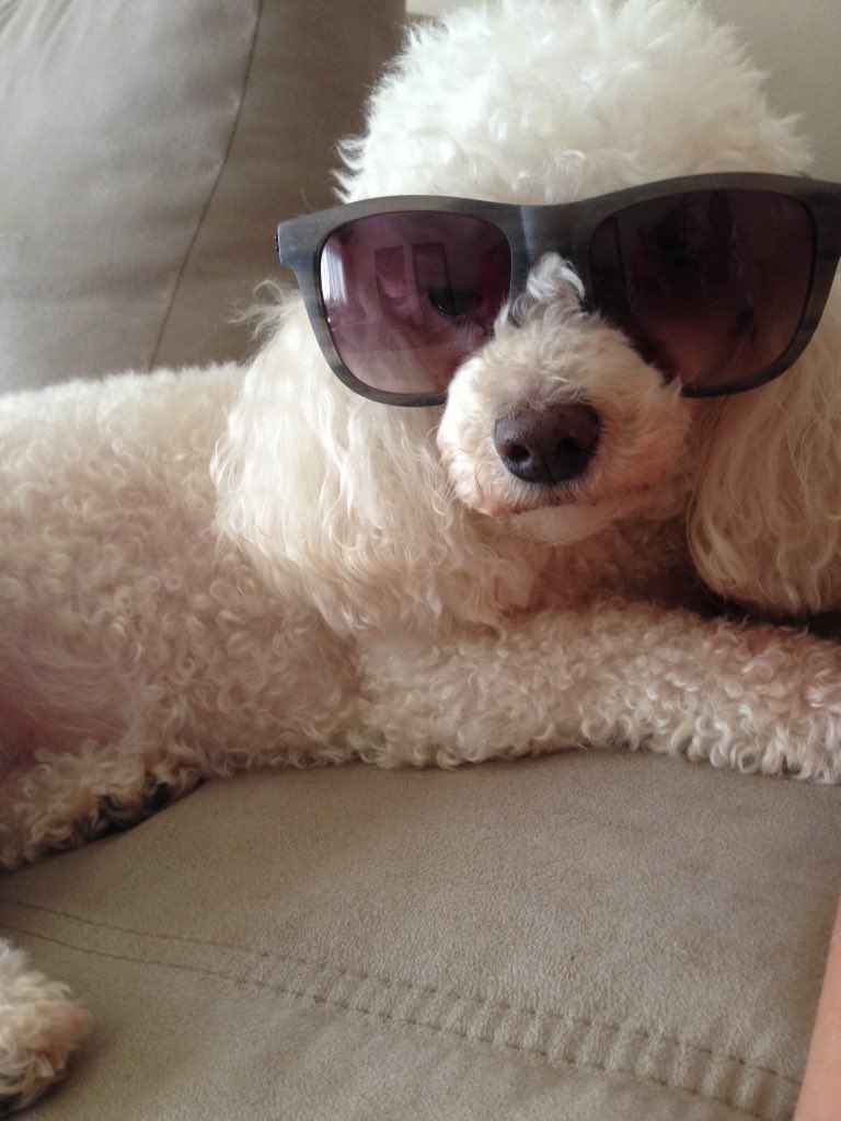 ktaehyuntold's tweet photo. #LiveDoAuthentic https://t.co/tQvtX7TB0A