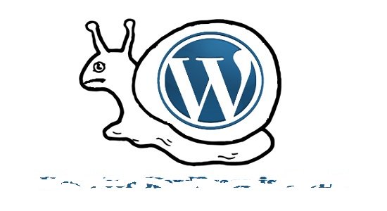 Technorins's tweet photo. 5 things that make your #WordPress site run #slow and how to #fix them https://t.co/rAtTSxc3qY via @smallbiztrends https://t.co/YjC0jXincL