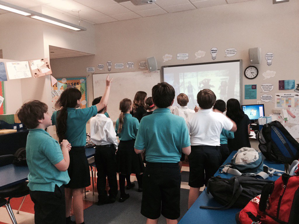 BISCLPYear5's tweet image. More GoNoodle fun #proudplatypuses #thellamasong #llamaontheloose