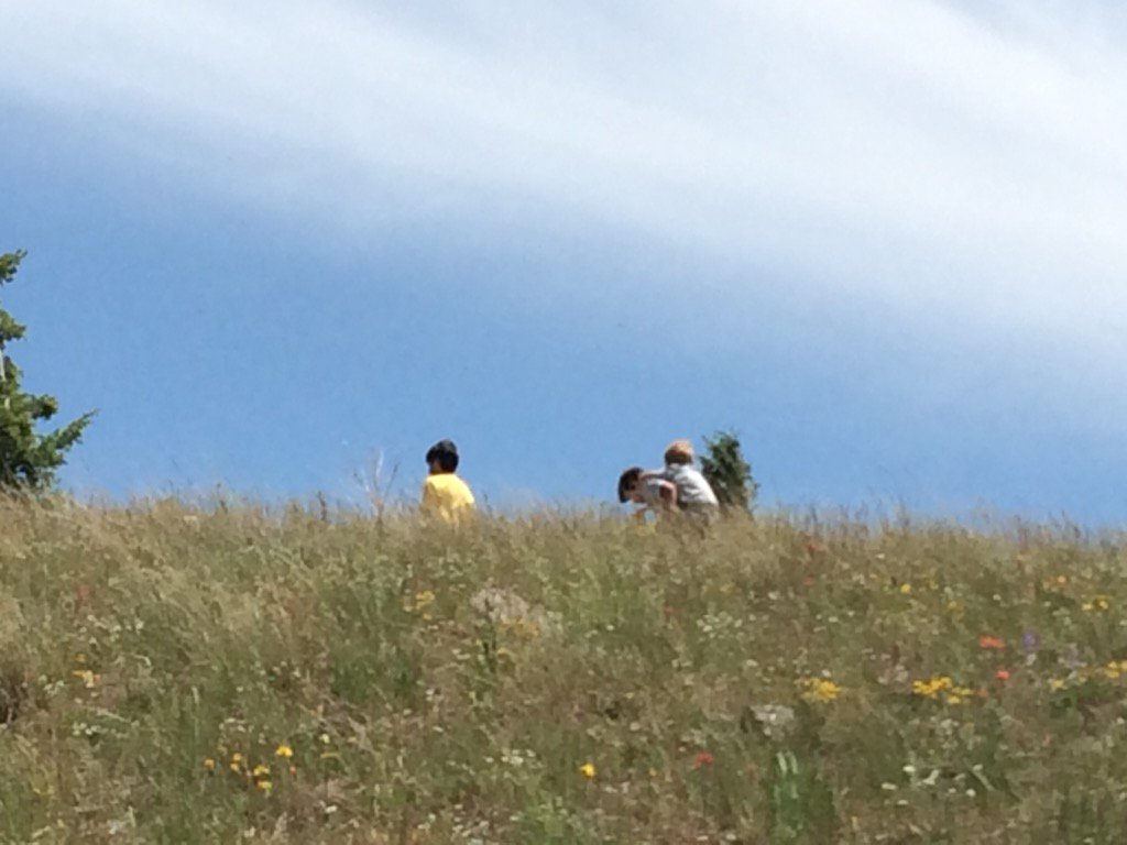 nancymlang's tweet image. Middle School &amp;amp; PreK @journeysschool #LastDayOfSchool hike! #RoleModels #MultiAgeLearning #ClassroomWithoutWalls