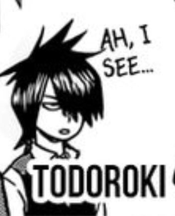 Rt Ur Todoroki Todoroki Emo Wig Disguise