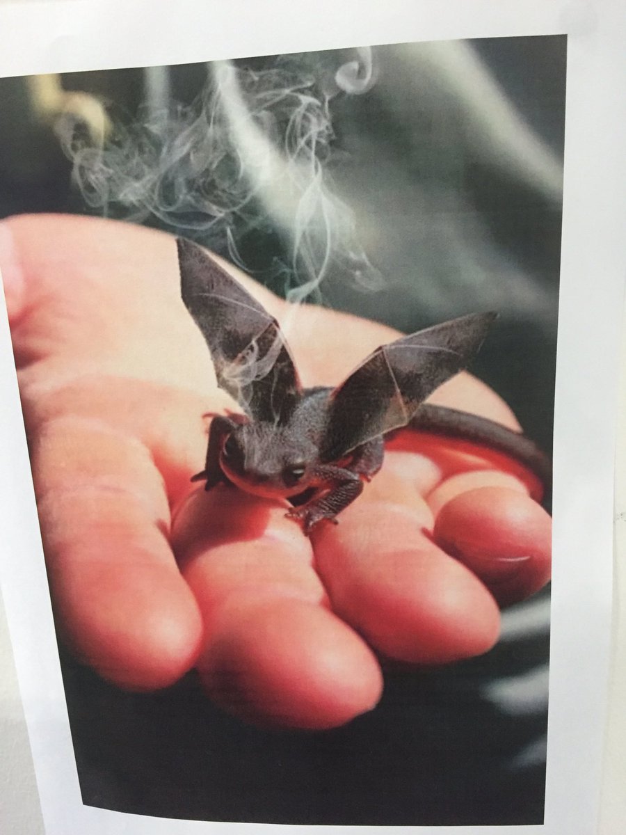 justdawned's tweet photo. Saw these today in a school. Wow! @MrGs2020 @laurs26 @smithsmm @misscarnell @kathrynmort @MissDott88 @JennaLucas81 https://t.co/htCv2IWvqL