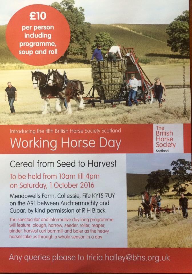 OultramSally's tweet photo. @RBSTrarebreeds @RuthRBST @NFUCountryside @HorseHour @actonscottfarm @RABIcharity @forageaid @CarrDayMartin 🌞 https://t.co/oiuZNnOrfy