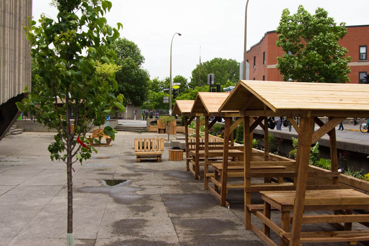 Fusion_Jeunesse's tweet photo. Admirez #ilotvert : espace bétonné transformé par des élèves de FPT de l'école sec. Saint-Henri! #persévérance #Mtl https://t.co/azziejcxye