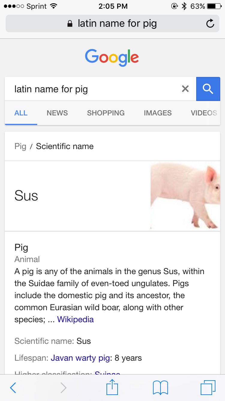 😍 Scientific name of pig. Wild Boar. 20190218