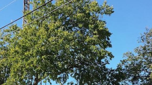 Glasstire's tweet image. Opening tonight at @ECCOnline : #ashstudios 

buff.ly/1PP0R3F