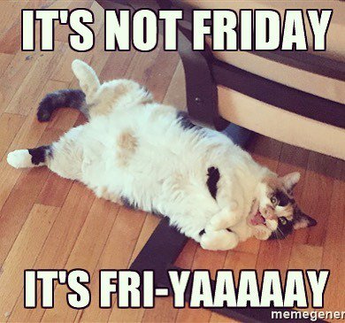 corblimey's tweet photo. Say hello to Plus Size Kitty #plussizekitty #friday #friyay #tgif https://t.co/YSvUNFmSOZ