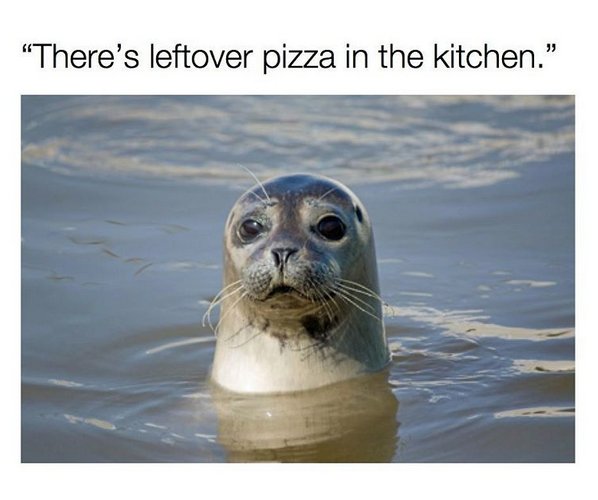 funnyordie's tweet image. Words you never need to say twice. 🍕