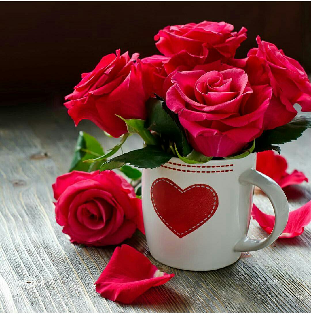 حنان (@mosaferbela2) on Twitter photo 