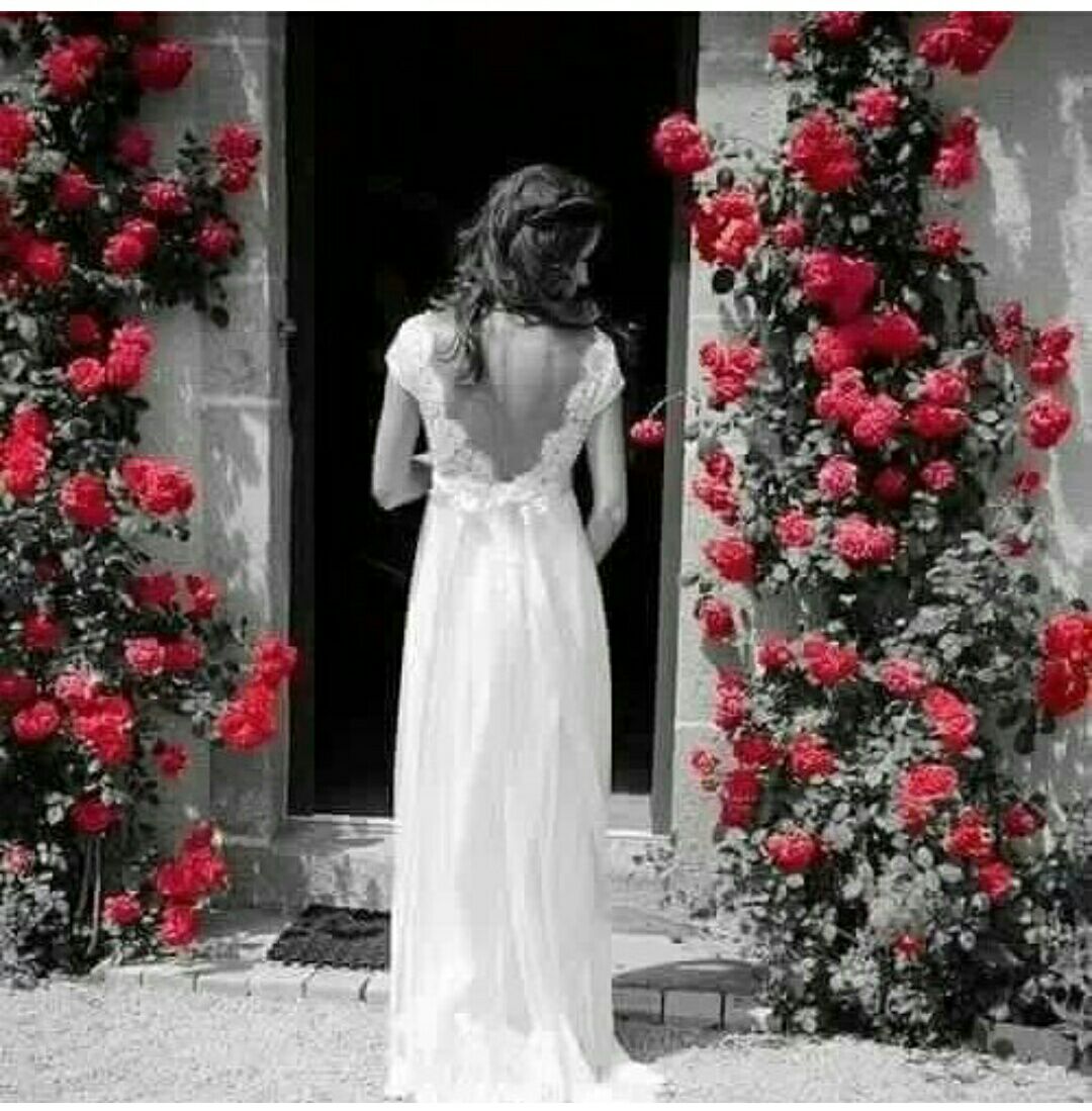 حنان (@mosaferbela2) on Twitter photo 