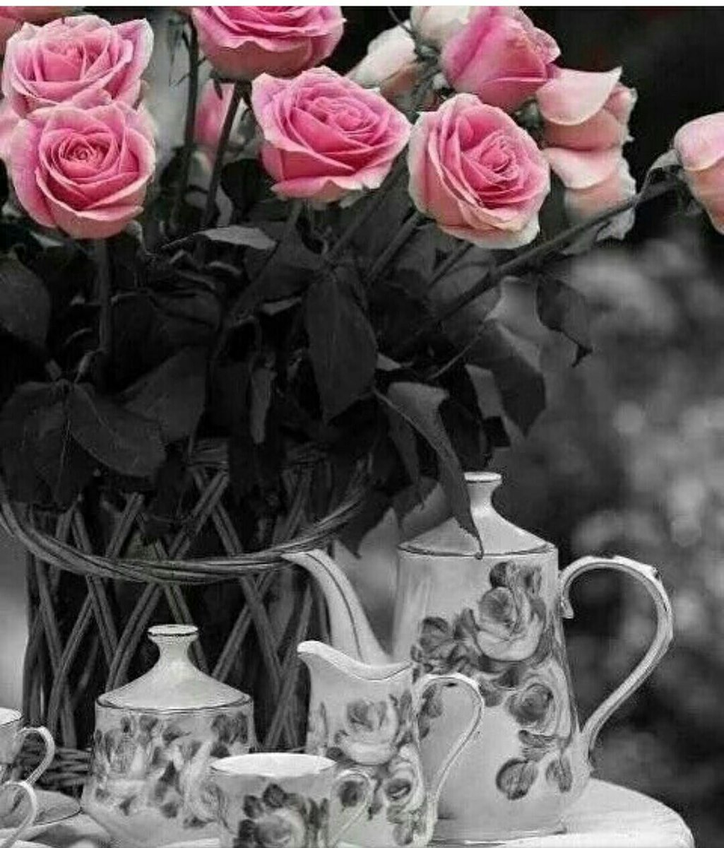 حنان (@mosaferbela2) on Twitter photo 