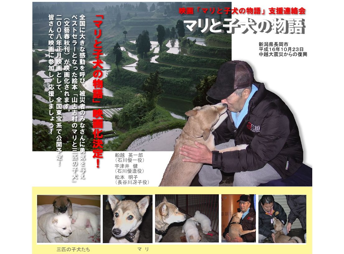 山古志村のマリの集落と水没した集落付近にマリの看板完成、映画の