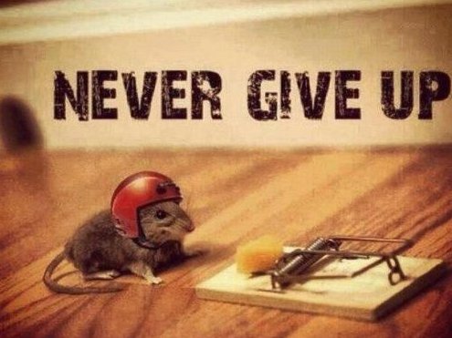 yourmusicompany's tweet image. #FridayFeeling When ur #music touches soulsThat's what happens w few songs as @GJaneOfficial @YabeMusicProd @MainLan