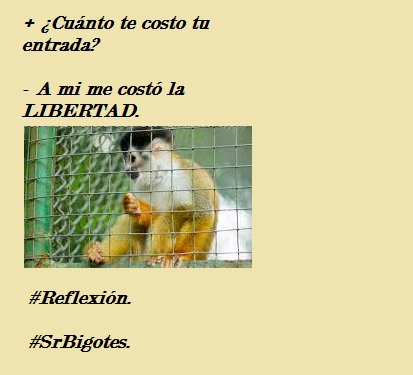 SrrBigotes1's tweet photo. #Reflexión.
#SrBigotes. https://t.co/Yf0VobIOaZ